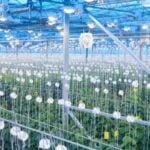 R&D Tax Credits for Agritech Sector