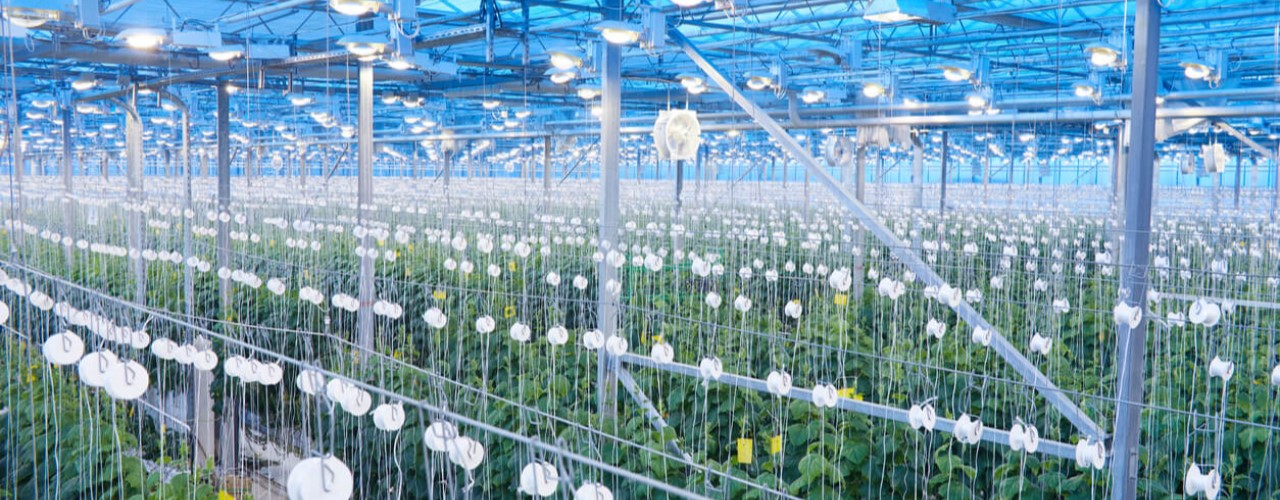 R&D Tax Credits for Agritech Sector