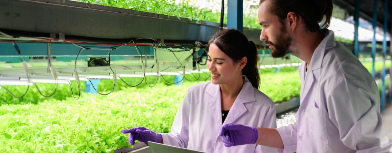 Biotech company using venture debt to grow their smart farm facility