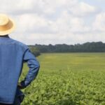 Agriculture operations being affected by R&D tax credit loans