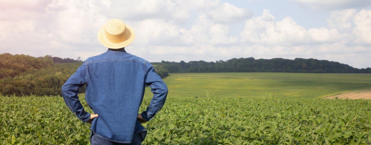 Agriculture operations being affected by R&D tax credit loans